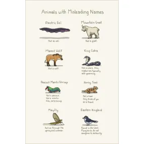 Animals With Misleading Names Print