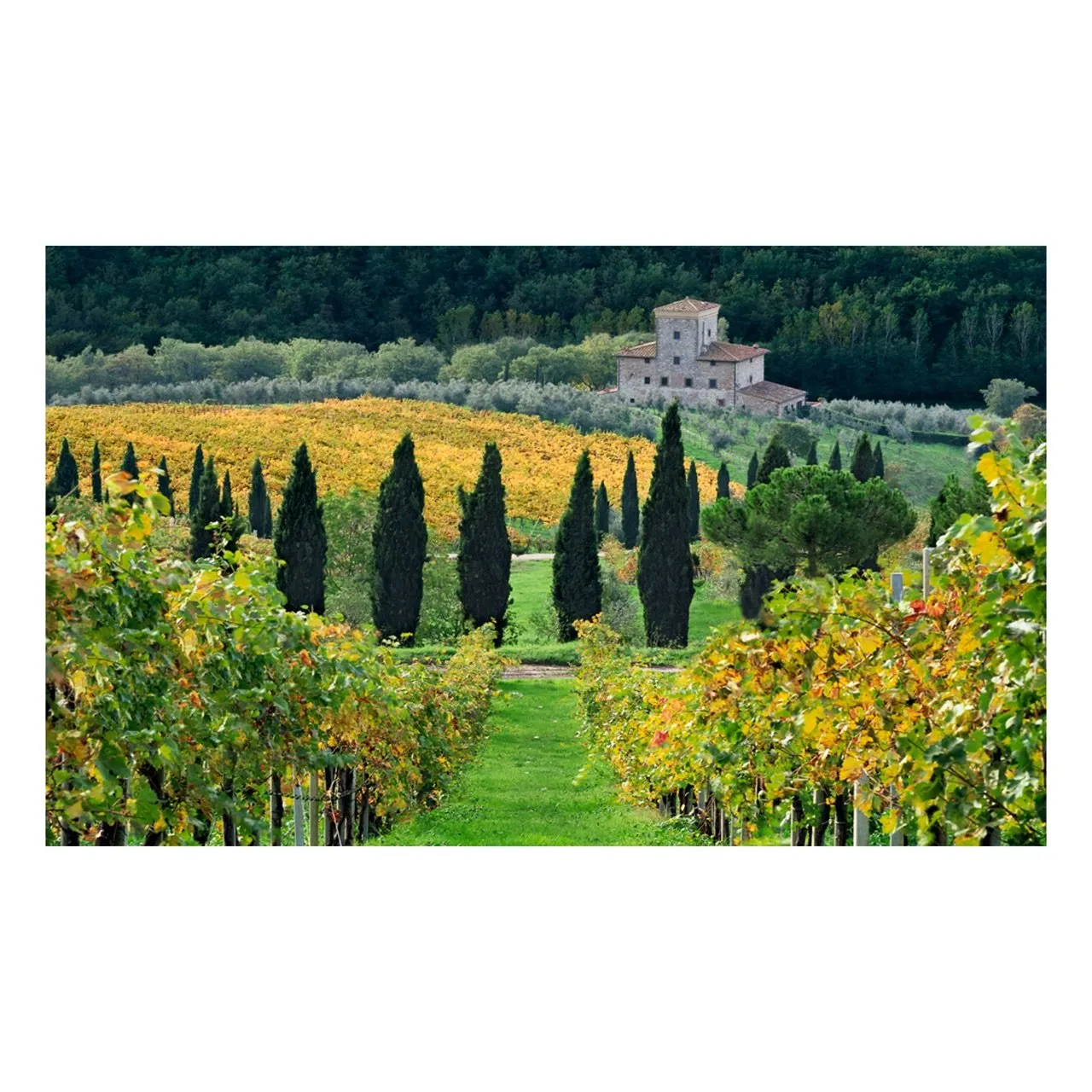 "Autumn in Chianti" | Italy Photography Print