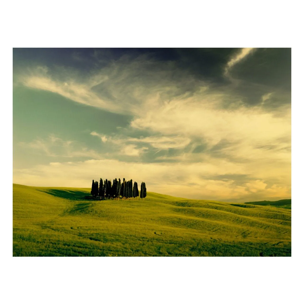 "Bella Toscana" | Italy Photography Print