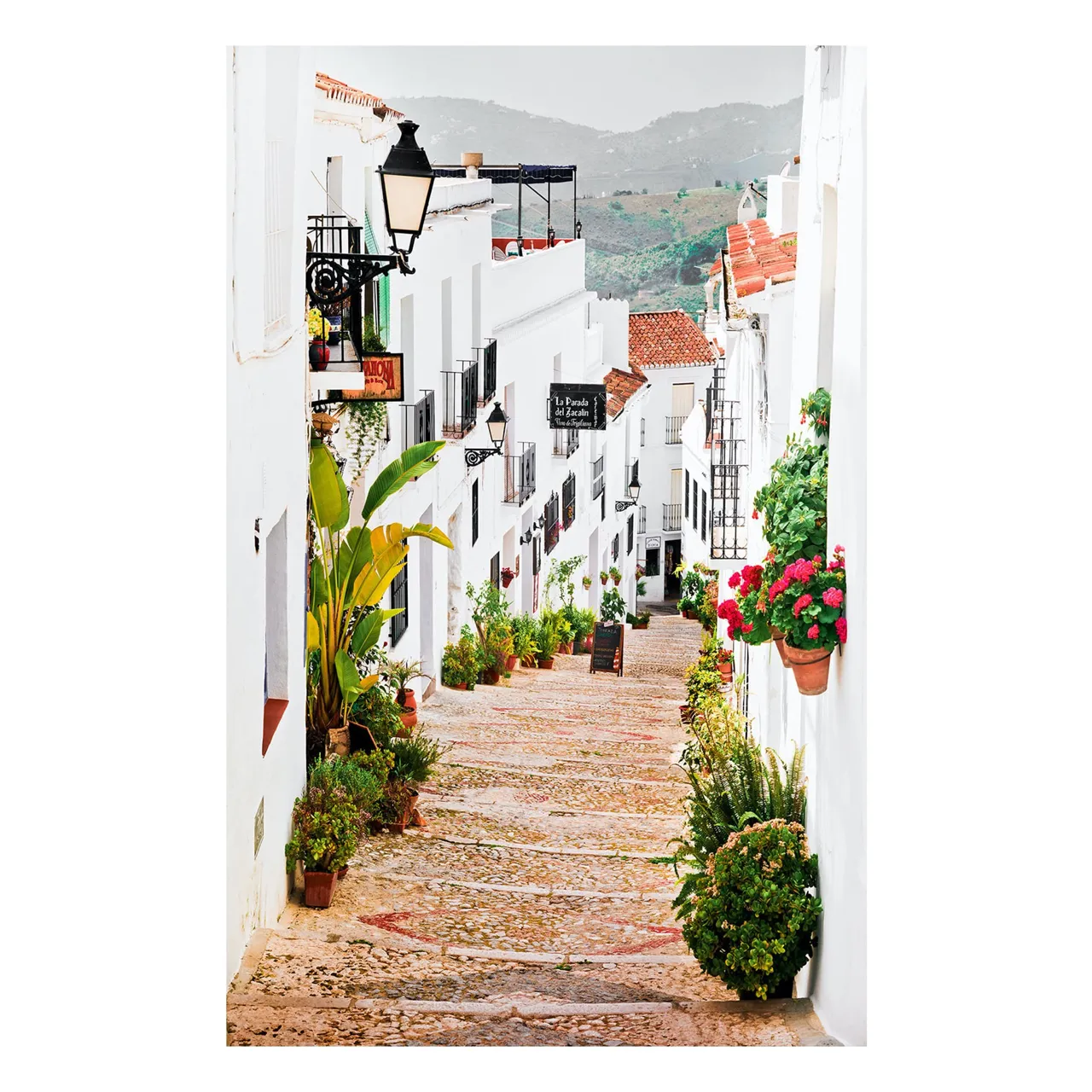 "Calle de Blanco" | Spain Photography Print